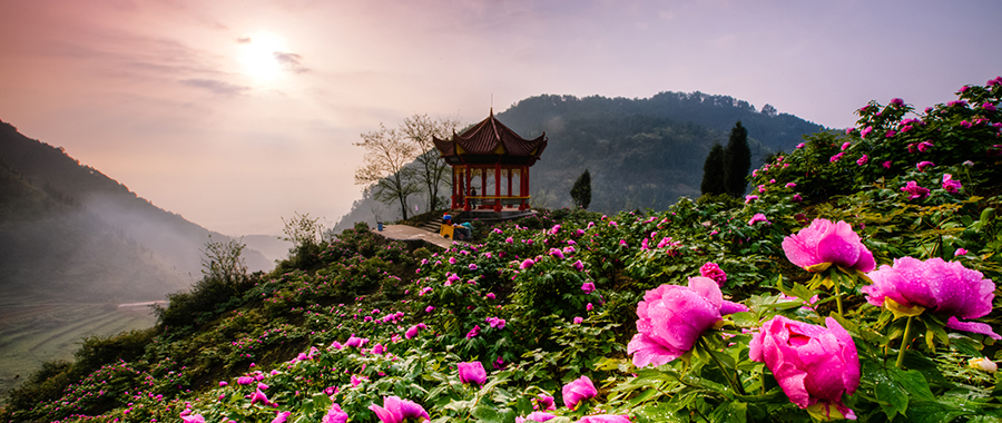 重慶興墊實(shí)業(yè)banner3
